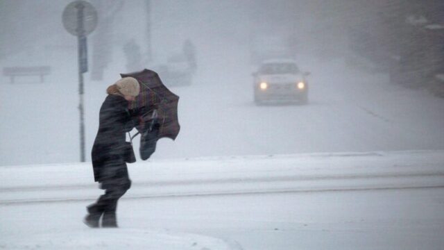 В МЧС по Тверской области предупредили об усилении ветра