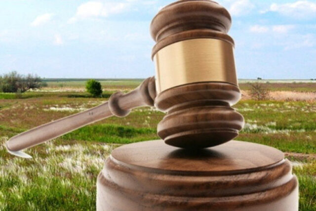 В Тверской области собственник участка не защитил его от зарастания