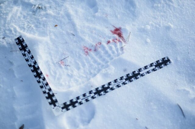 Следователи предъявили обвинение жителю Тверской области в убийстве сожительницы