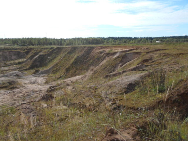 На пастбище в Тверской области разрабатывали два карьера На пастбище в Тверской области разрабатывали два карьера