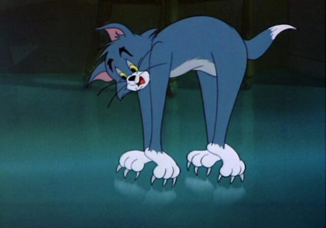 В понедельник в Тверской области установится идеальное атмосферное давление В понедельник в Тверской области установится идеальное атмосферное давление