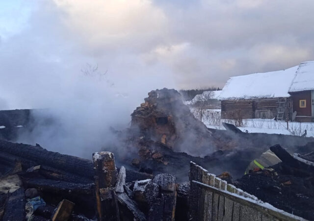 Пожилая жительница Тверской области сгорела в собственном доме