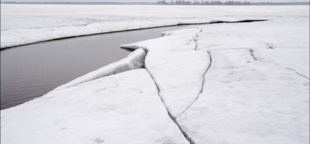 Нелидовский росгвардеец спас собаку из ледяной воды