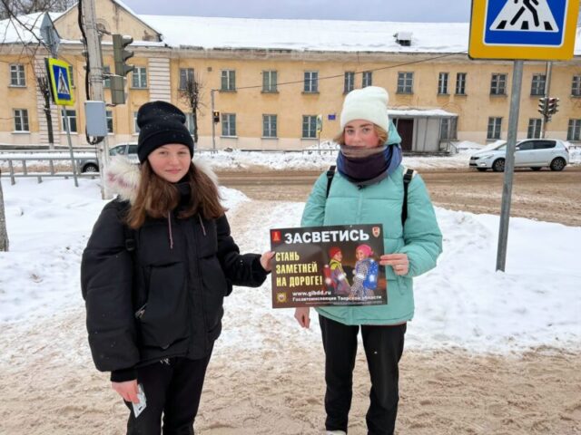 В городе Нелидово прошла профилактическая акция «Стань заметней на дороге!»