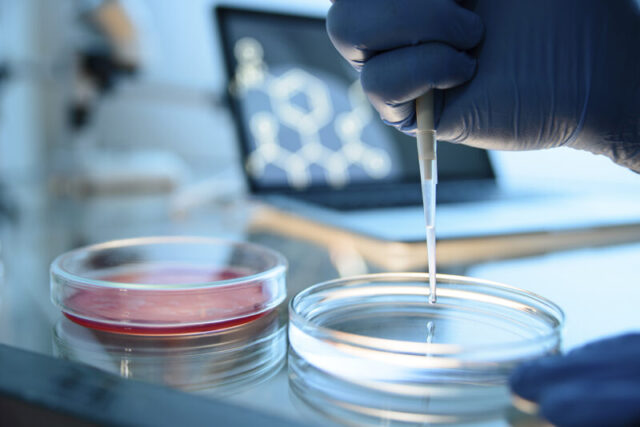 Тверская межобластная ветеринарная лаборатория выиграла межлабораторные испытания Тверская межобластная ветеринарная лаборатория выиграла межлабораторные испытания