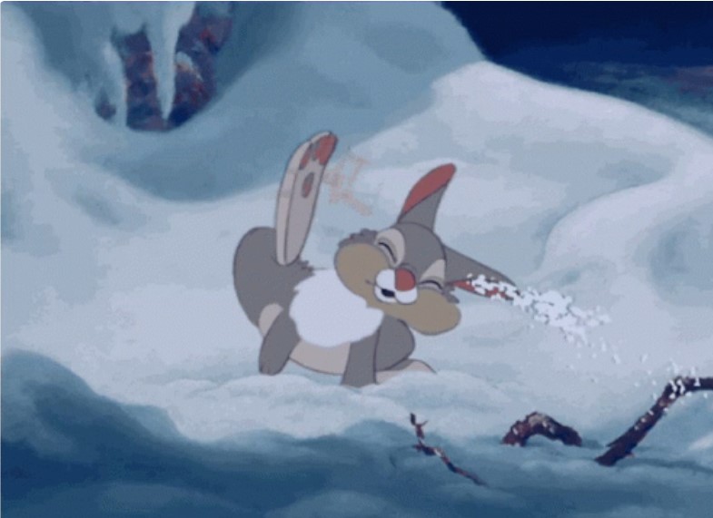 Тверскую область продолжает заваливать снегом