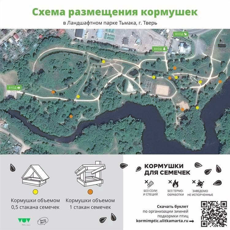 Новые кормушки в тверском парке «Тьмака» облюбовали снегири