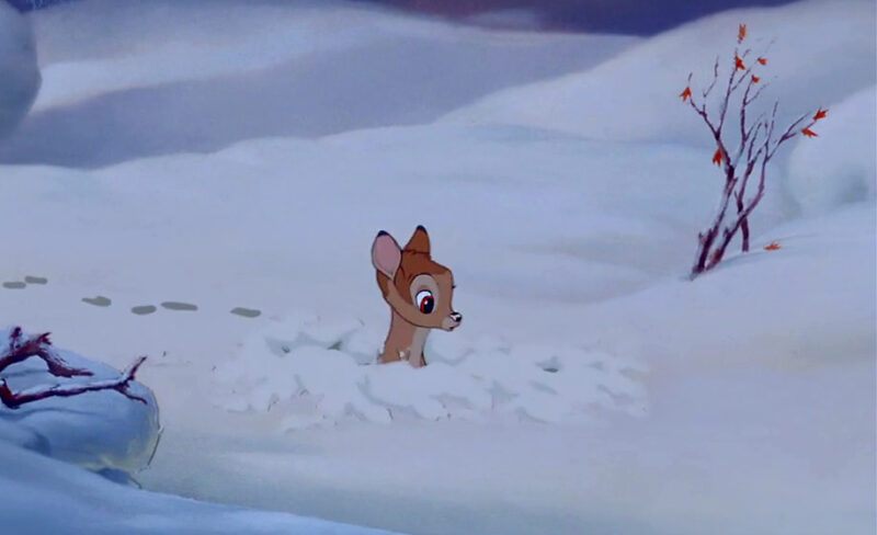 Последний выходной день Тверской области будет снежным Последний выходной день Тверской области будет снежным