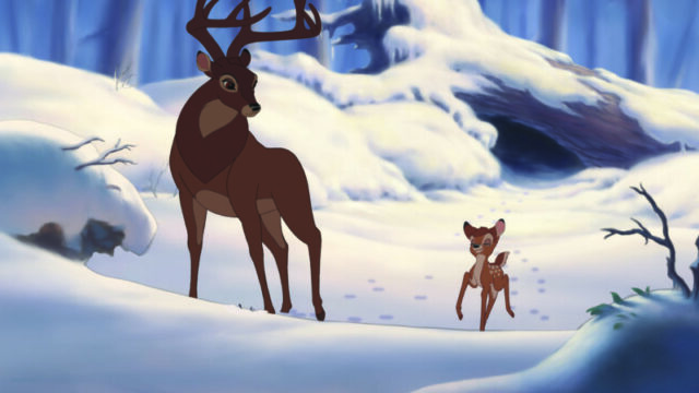 9 января в Тверской области будет облачно