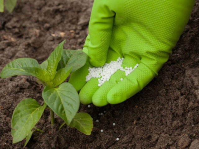 Использующие химикаты и пестициды хозяйства должны зарегистрироваться в системе Россельхознадзора