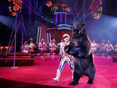 Жителей Твери приглашают в цирк и театры в последний день новогодних каникул