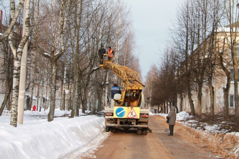 В Нелидове приводят в порядок деревья