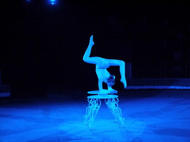 В Твери прошел фестиваль циркового искусства «Праздник нашего детства»