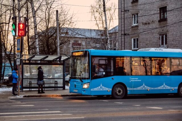 В России усложнят процесс получения водительского удостоверения