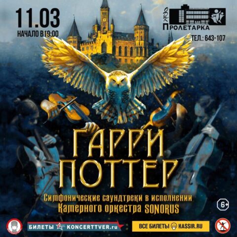 Музыка из фильмов о Гарри Поттере прозвучит на сцене ДК «Пролетарка»