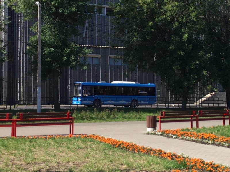 Транспорт нашего региона: синие автобусы глазами жителей Тверской области Транспорт нашего региона: синие автобусы глазами жителей Тверской области