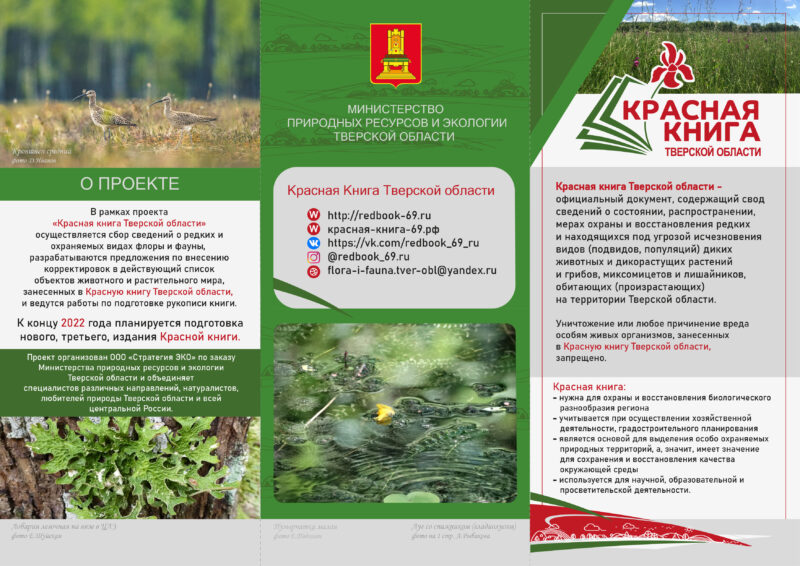 Объявлен старт приема работ на конкурс «Красная книга Тверской области глазами детей»