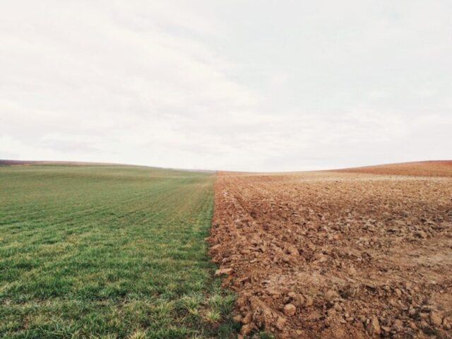 В Тверской области Россельхознадзор подвёл итоги работы за январь