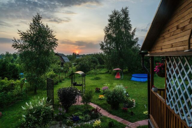 Беле-Кушальское, Мермерины, Лисицы: для калининских дачников МТС ускорила интернет 4G Беле-Кушальское, Мермерины, Лисицы: для калининских дачников МТС ускорила интернет 4G