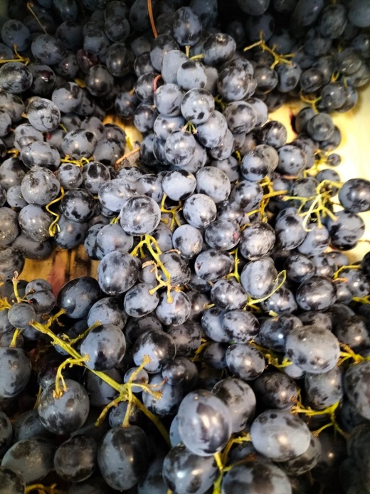 Фитосанитарные проверки прошли в магазинах Твери