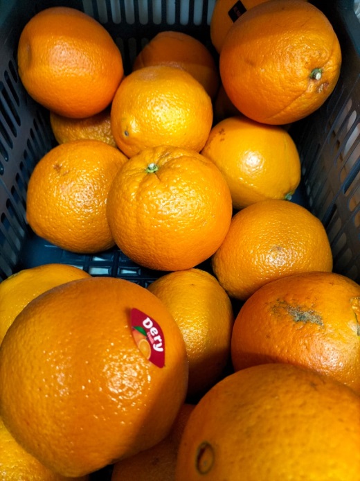 Фитосанитарные проверки прошли в магазинах Твери