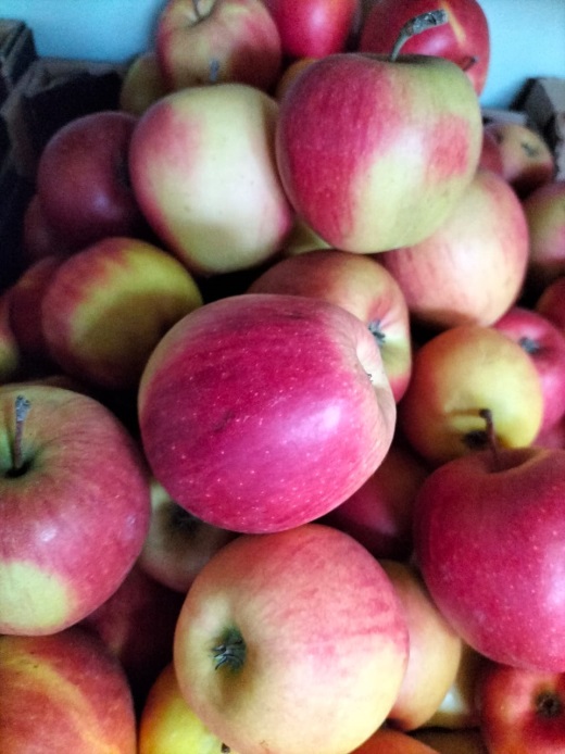 Фитосанитарные проверки прошли в магазинах Твери