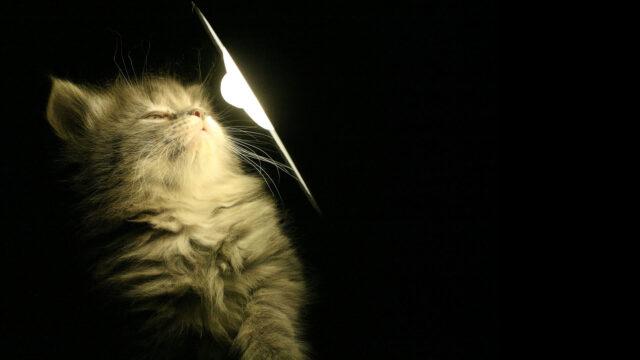 Зажигай свечи: где в Тверской области не будет света 23 марта Зажигай свечи: где в Тверской области не будет света 23 марта