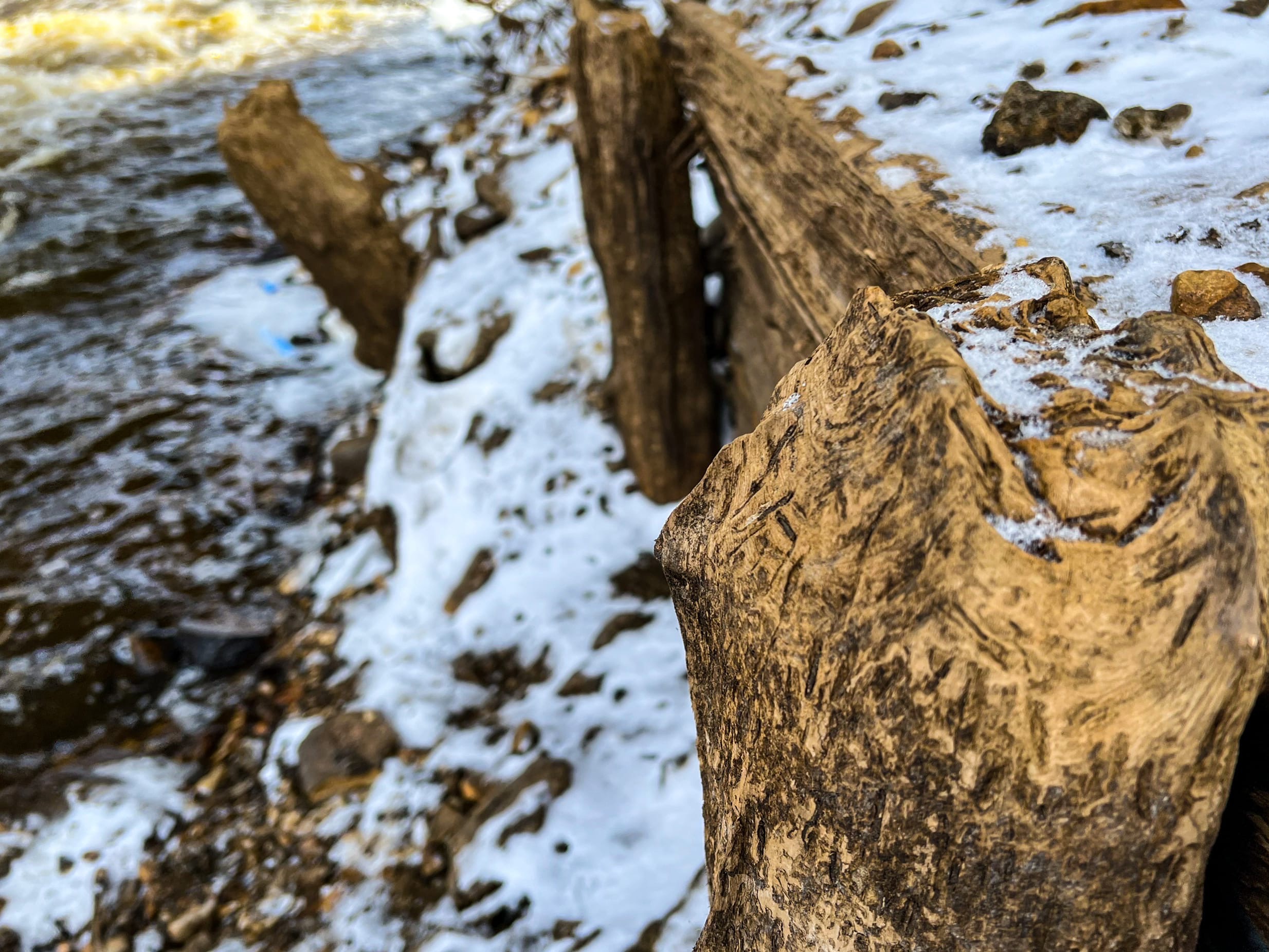 В центре Твери из-под воды показались опоры старинного моста В центре Твери из-под воды показались опоры старинного моста