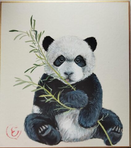 Жителей Твери приглашают нарисовать милого детеныша панды