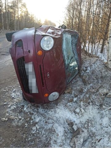 В Тверской области ребенок получил травмы в ДТП с лосем В Тверской области ребенок получил травмы в ДТП с лосем