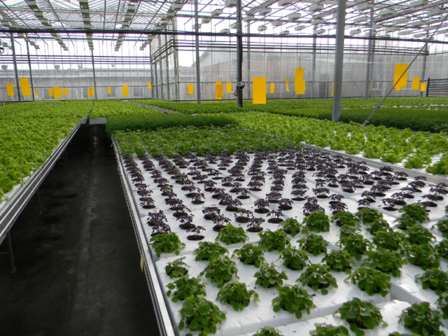 Тверская ветеринарная лаборатория напоминает об обязательном проведении фитокарантинных исследований