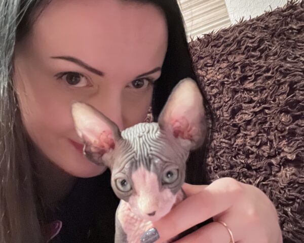 Сотрудники МВД Тверской области поделились милыми фотографиями своих котов