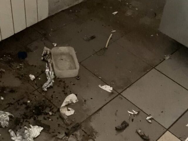 От тортов до тартов: как филолог из Твери открыла свою кондитерскую От тортов до тартов: как филолог из Твери открыла свою кондитерскую