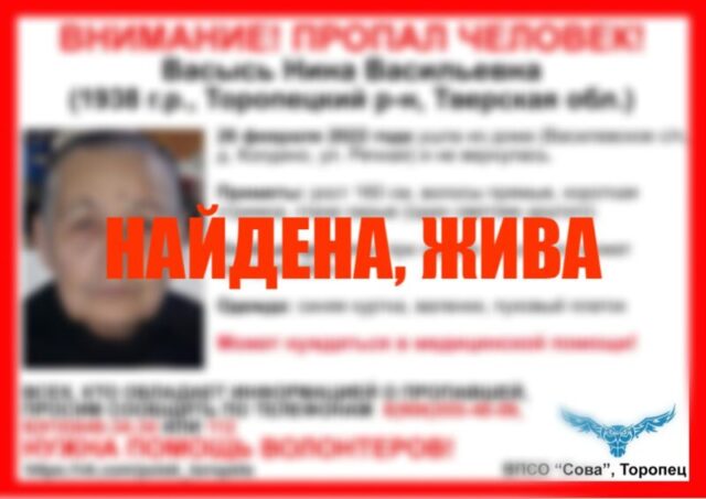 Волонтеры нашли пропавшую в Торопецком районе бабушку