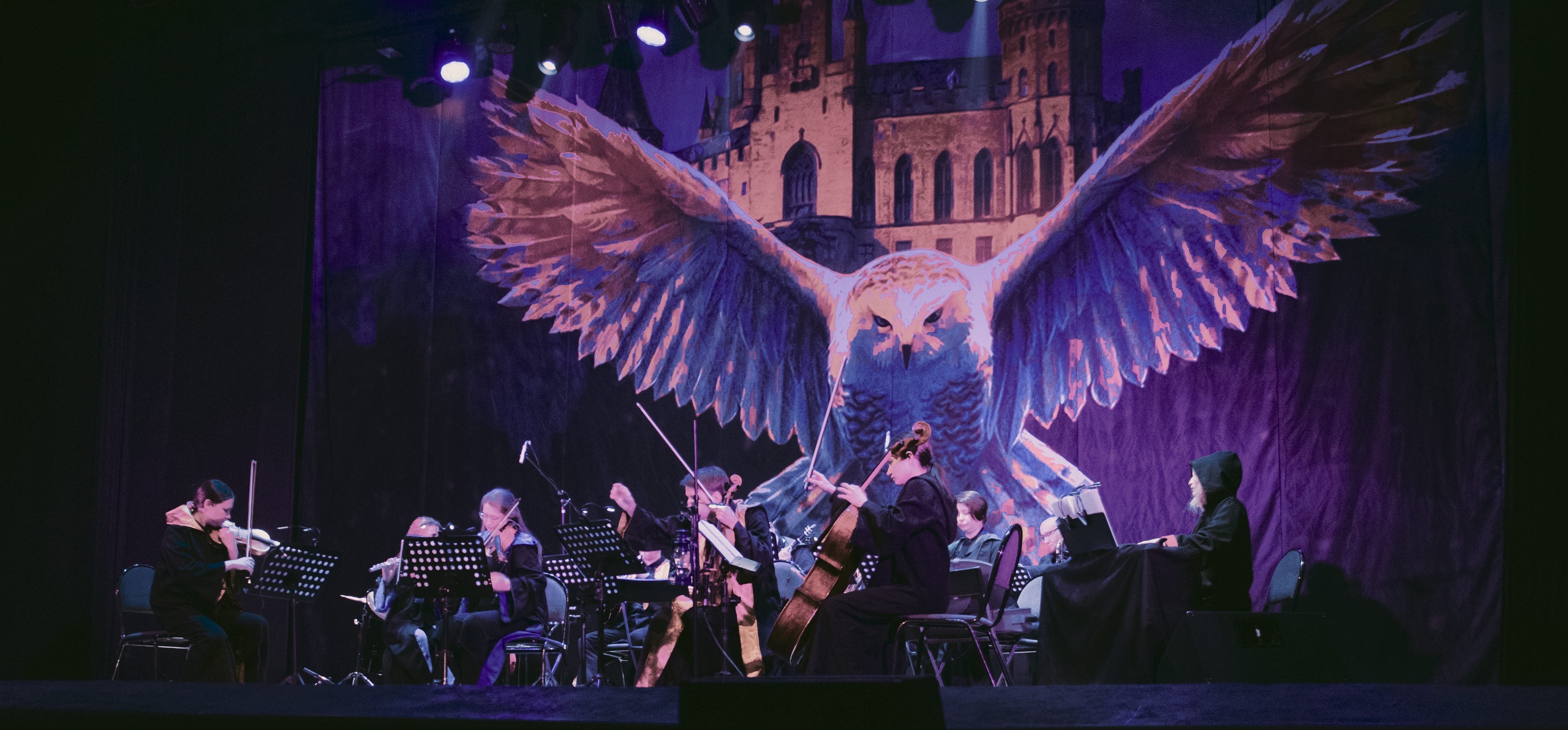 Звездные разборки. Молодые виртуозы исполнили в Твери музыку из «Гарри Поттера»