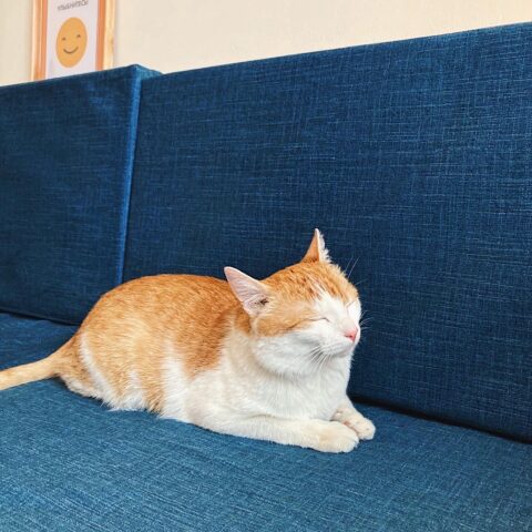 Жителям Твери расскажут о бесполезных лекарствах