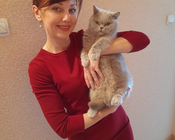 Сотрудники МВД Тверской области поделились милыми фотографиями своих котов