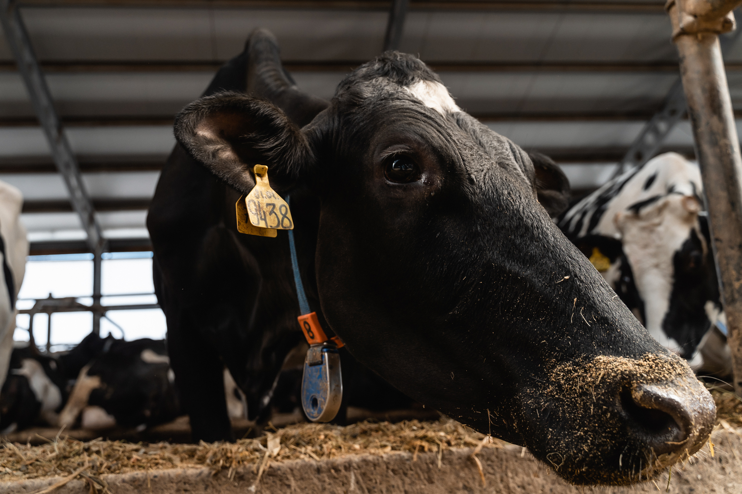 ЗАО "Калининское" с экскурсией посетили вынужденные переселенцы с Украины