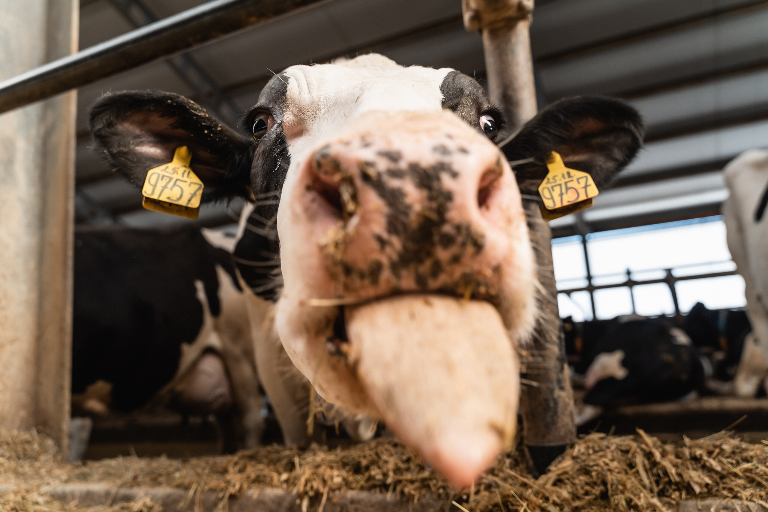 ЗАО "Калининское" с экскурсией посетили вынужденные переселенцы с Украины