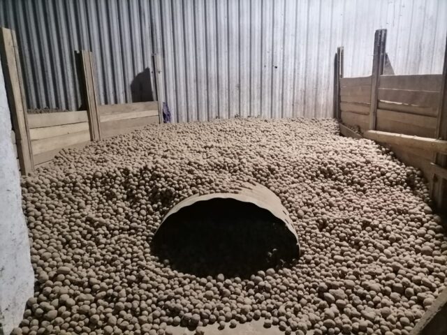 Россельхознадзор проводит профилактические визиты в области безопасного обращения с пестицидами и агрохимикатами