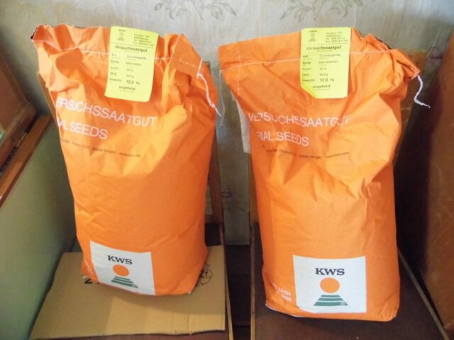 В Тверской области Управление проверило свыше 450 кг семян, предназначенных для проведения государственных испытаний селекционных достижений