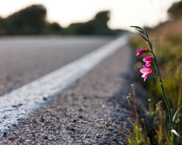 За сутки в Тверской области не было ДТП с пострадавшими