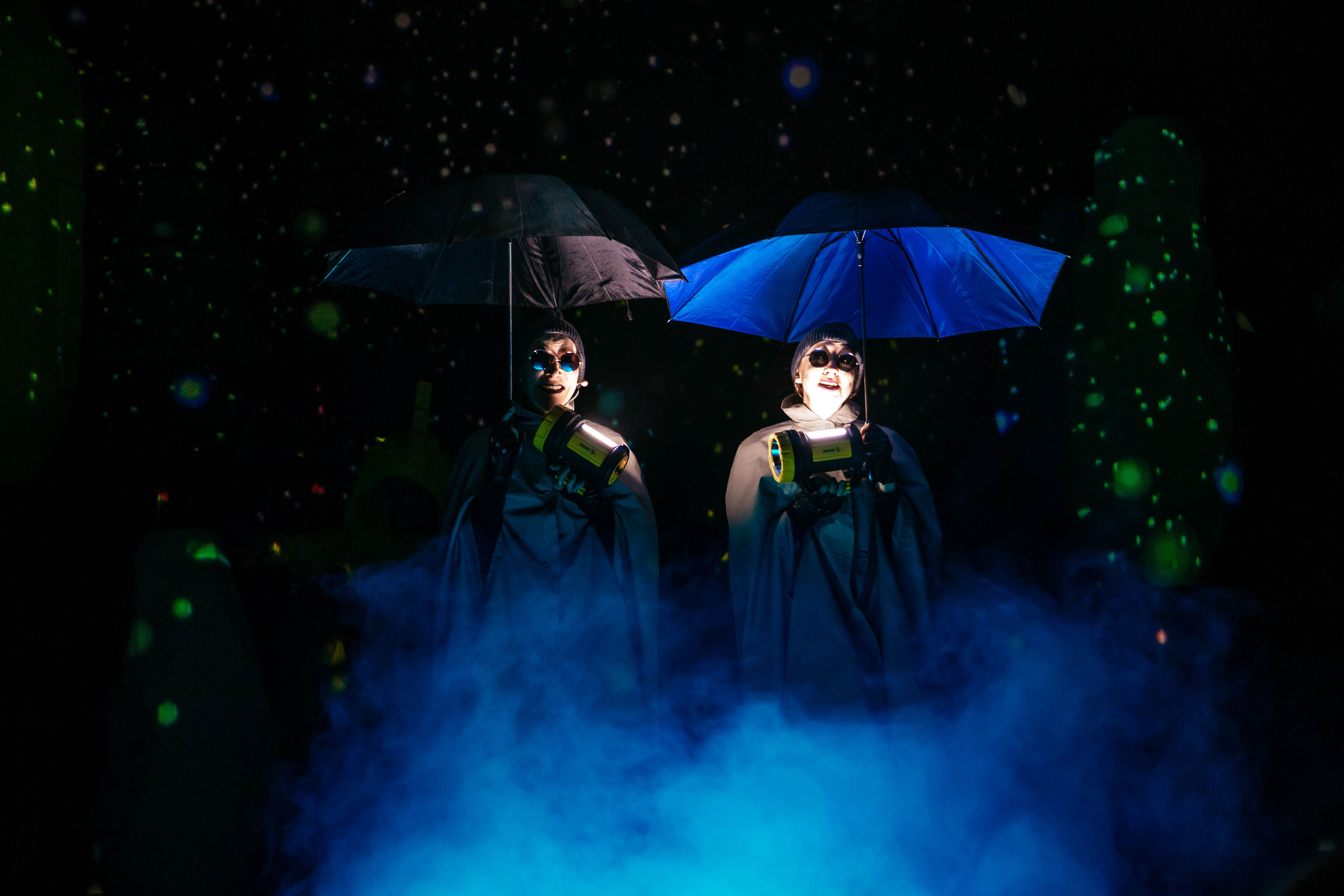 Пушистый злодей и запутанная история: В ТЮЗе представили по-настоящему "Зверский детектив"