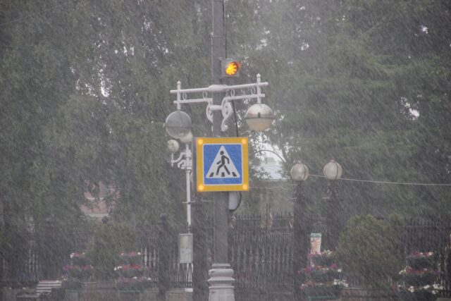 В ближайшие часы на Тверскую область обрушатся дождь и грозы