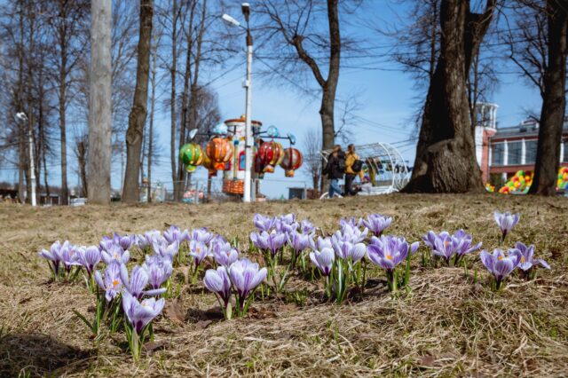 В Тверской области будет прохладно, но солнечно