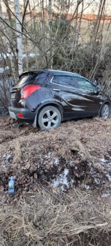 Под Тверью машина вылетела в кювет