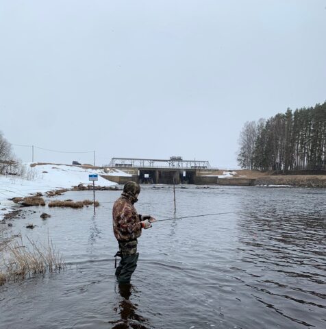 В Тверской области рыбаки поймали черепаху