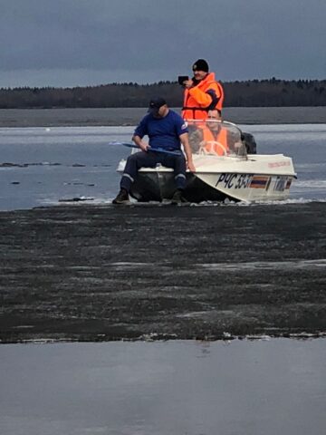 В Тверской области спасли дрейфовавшую на льдине собаку В Тверской области спасли дрейфовавшую на льдине собаку