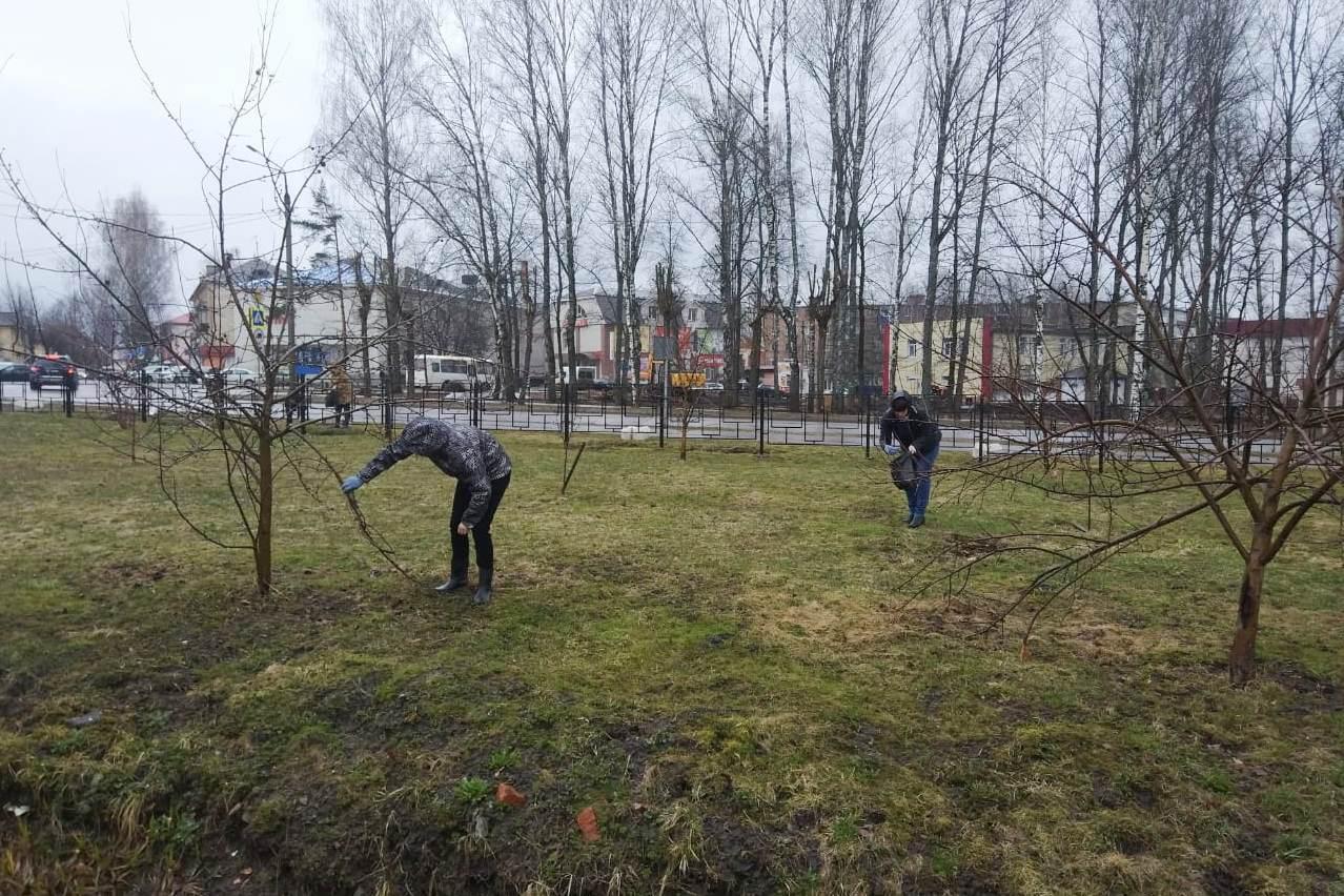 В городе Нелидово прошел субботник