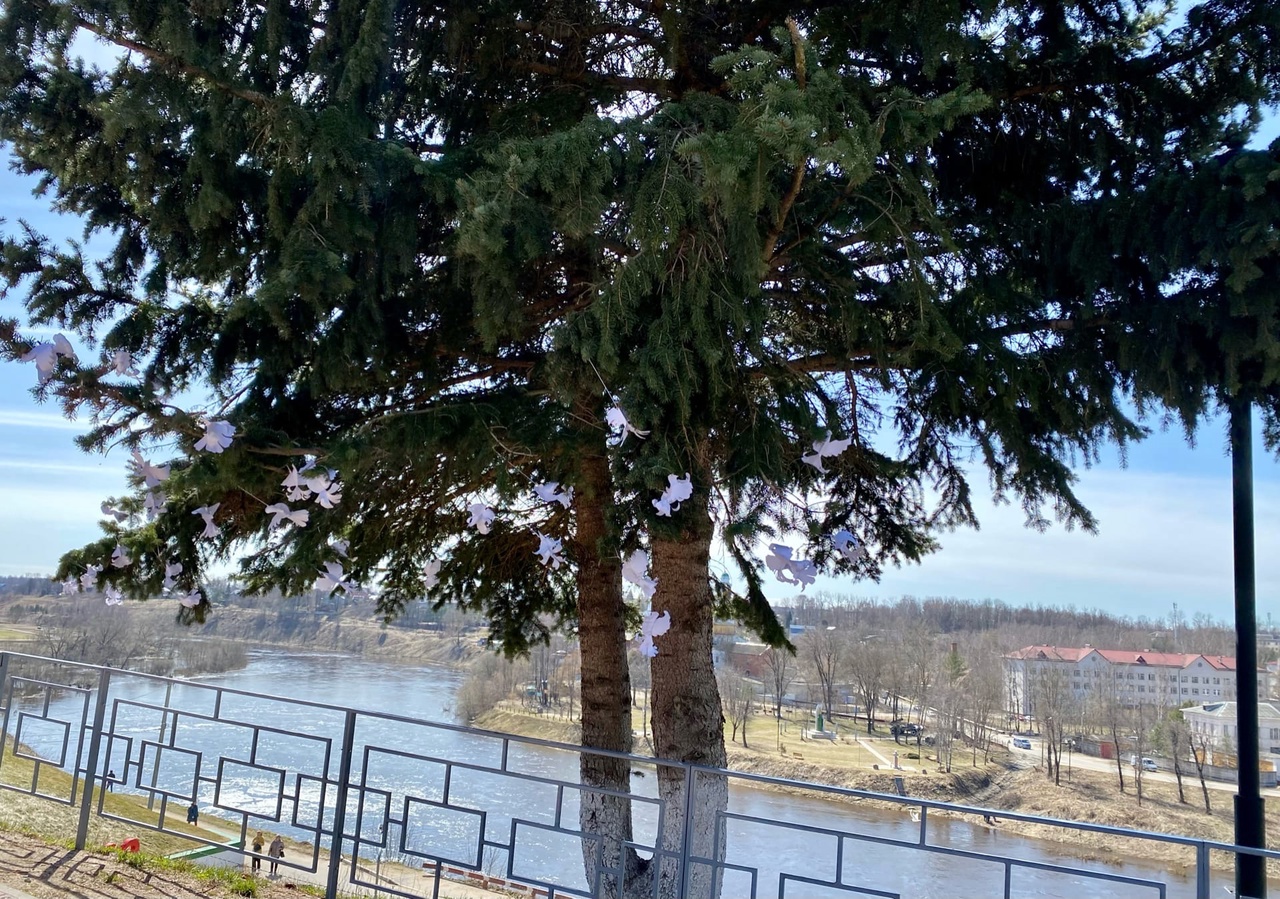 В Ржеве школьники почтили память советских граждан, погибших в годы Великой Отечественной войны